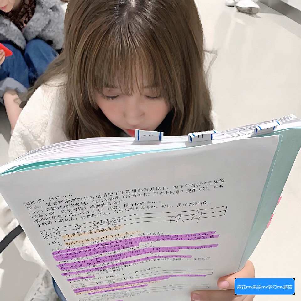 麻花MV、果冻MV、梦幻MV和蘑菇MV有哪些不同之处？它们的风格和特色解析